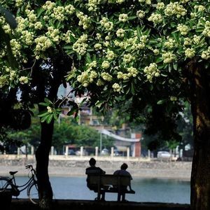 Meet your Posher, Huy